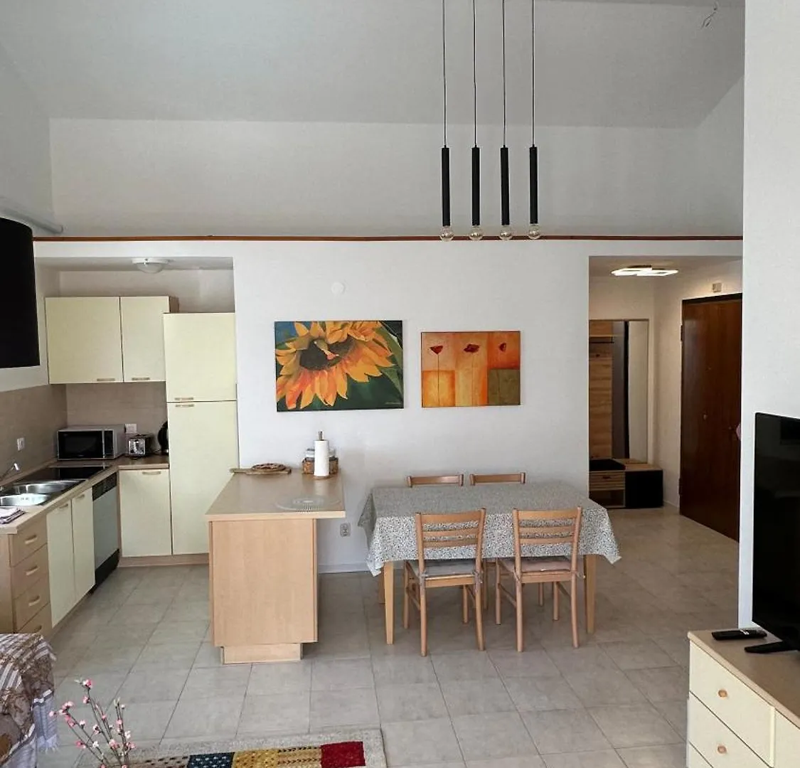 Apartment Apartman Lucija Rovinj